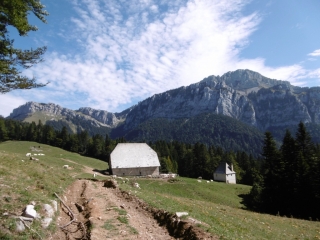 SAINT PIERRE DE CHARTREUSE - TOUR DES 5 HABERT-isere