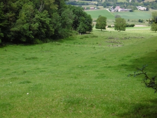 MONTBERNIER - COMBE DE LA CASSE PAR L ETANG ROSIERE-isere