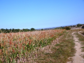 SAINT GEORGES D ESPERANCHE - GRANDE BOUCLE PAR MOIDIEU-isere
