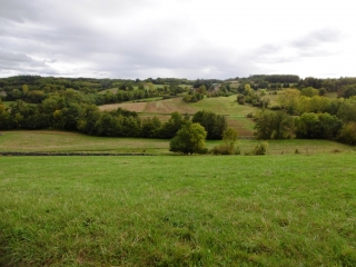 COUR-ET-BUIS - LE GRAND BAILLIS - FORET DES BLACHES-isere