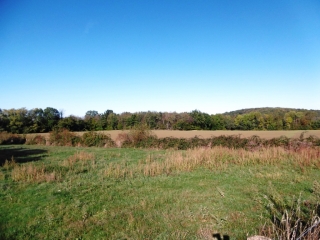 SAINT-GEORGES-D ESPERANCHE - BOIS RAILLARD-isere