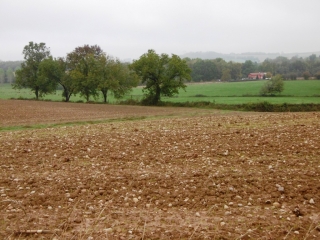CHARANTONNAY - BOIS DE LA GROTTE-isere