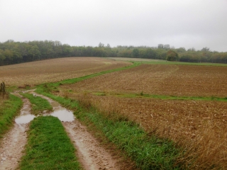 CHARANTONNAY - BOIS DE LA GROTTE-isere