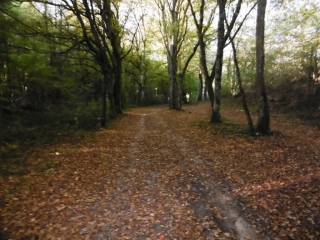 BONNEFAMILLE - NORD-OUEST-isere