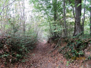VIENNE - LA CROIX DES CHASSEURS-isere