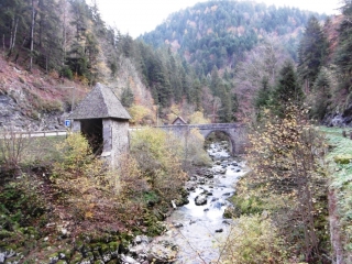 SAINT PIERRE DE CHARTREUSE - CHARMANT SOM PAR LA FORET DE VALOMBRE-isere