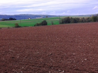 MONTBERNIER - BOIS DE LA CASSE-isere