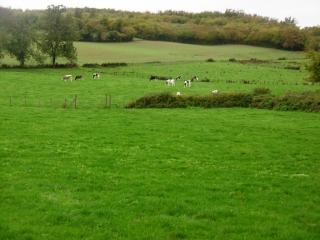 CHARANTONNAY - AUTOUR DU VILLAGE-isere
