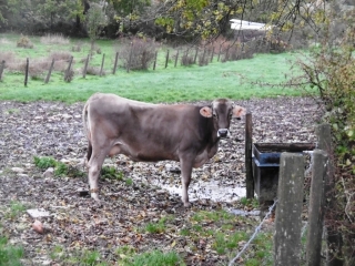 CHARANTONNAY - AUTOUR DU VILLAGE-isere