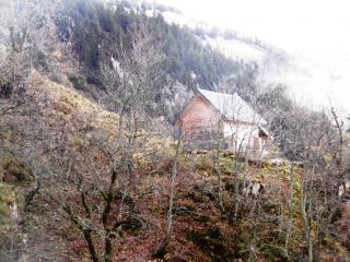 SAINT-PIERRE-DE-CHARTREUSE - BOUCLE DE LA CABANE DE BONNEFOND-isere