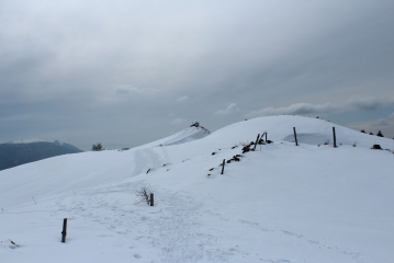 LE CRET AU MERLE EN RAQUETTE-jura