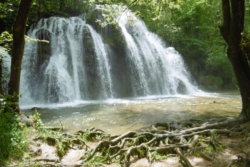 ECHAPPEE JURASSIENNE - ARBOIS - RECULEE DES PLANCHES-jura