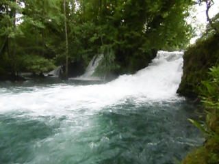 ECHAPPEE JURASSIENNE - ARBOIS - RECULEE DES PLANCHES-jura