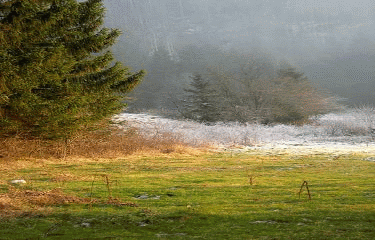 PERRENA - CHALESME-jura