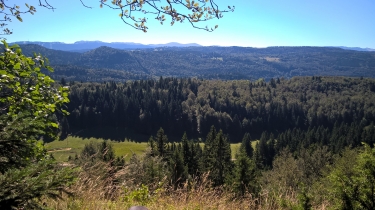 SENTIER DES DIOTS - SEPTMONCEL-jura