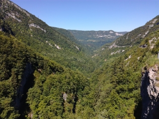 SEPTMONCEL - SENTIER DES CHAMOIS-jura