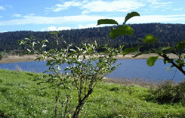 LAC-DES-ROUGES-TRUITES-jura