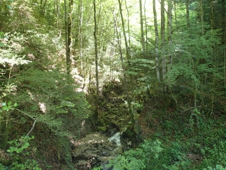 ETIVAL - LA ROCHE DE JOUX - LES RONCHAUX-jura