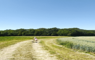 LE SENTIER DES ETANGS VAILLANT- DU CRET ET DU FORT-jura