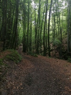 RANDONNEE D ENTRE COTES-jura