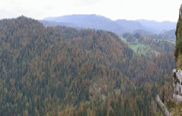 ALESIA - REGARD DE CESAR -jura