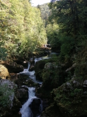 AUTOUR DES PERTES DE L AIN-jura