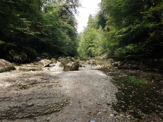 VARIANTE SOURCE DE L AIN-jura