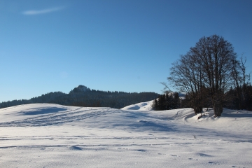 haut-jura - LA PESSE CRET DE CHALAM EN RAQUETTE A NEIGE