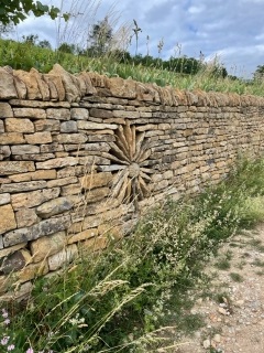 LE TOUR DU MONT DES TARTRES-jura