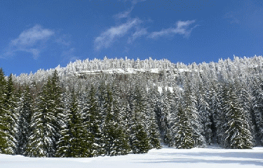 RISOUX EN HIVER-jura