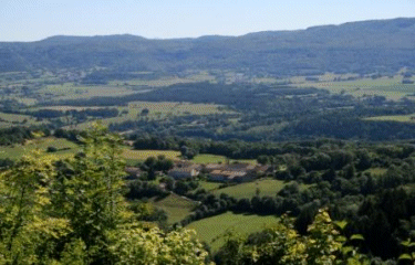 LA QUINQUENOUILLE-jura