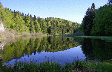 LAC DE LA FAUGE-jura