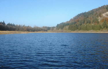 LAC DE LA FAUGE-jura