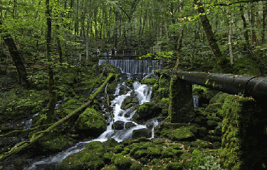 MESNAY - CIRQUE DU FER A CHEVAL-jura