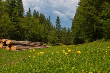 LAMOURA - COMBE ARBEY-jura