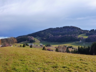 LAMOURA - COMBE ARBEY-jura