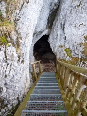 GROTTE DU CELARY-jura