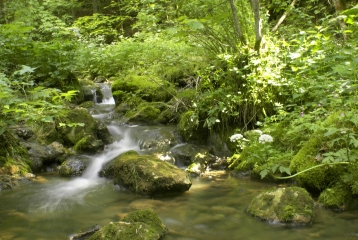 BELVEDERE DES DAPPES (2)-jura