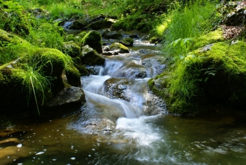 BIEF DE LA CHAILLE-jura