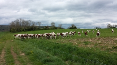 SAINT-HYMETIERE-jura