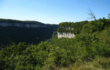 Sentier du Dard-jura