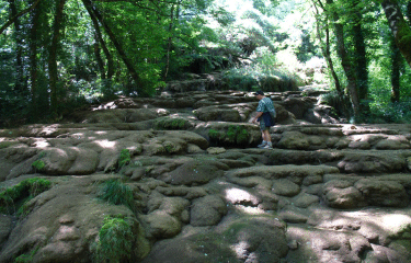 Sentier du Dard-jura