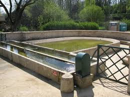 TAXENNE - ABBAYE D ACEY-jura