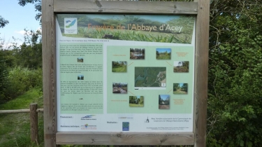 TAXENNE - ABBAYE D ACEY (2)-jura