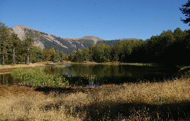 BAUDINARD-alpes-de-haute-provence