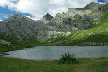 VALLON DU LAUZANIER-alpes-de-haute-provence