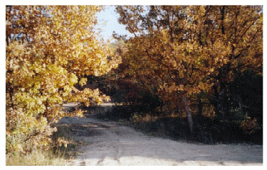 Gorges de Baudinard-alpes-de-haute-provence