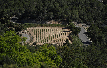 PLATEAU DE GANAGOBIE -alpes-de-haute-provence