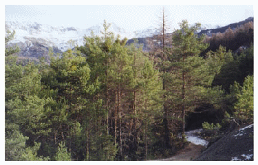 Le circuit de la Frache-alpes-de-haute-provence