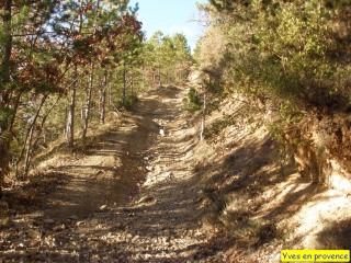 VOLX-alpes-de-haute-provence